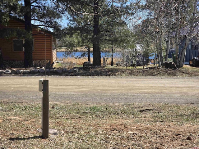 369 Beaver Cir, Pagosa Springs, CO 81147 - view of dirt / gravel road