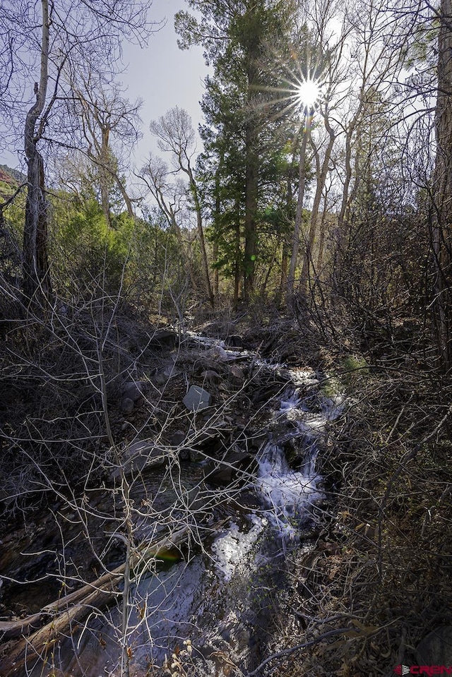 view of local wilderness