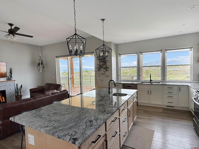710 SE Pine St, Cedaredge, CO 81413 - kitchen featuring a sink, open floor plan, wood-type flooring, an island with sink, and light stone counters
