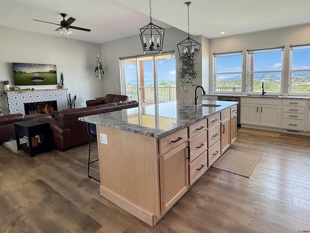 710 SE Pine St, Cedaredge, CO 81413 - kitchen featuring a sink, open floor plan, healthy amount of natural light, and recessed lighting