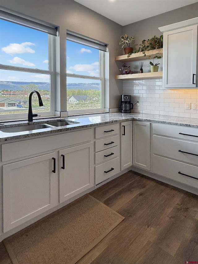 710 SE Pine St, Cedaredge, CO 81413 - kitchen with a sink, dark wood-style floors, white cabinets, light stone counters, and open shelves