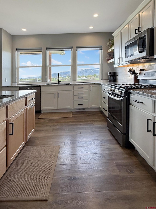 710 SE Pine St, Cedaredge, CO 81413 - kitchen with stainless steel appliances, plenty of natural light, recessed lighting, a sink, and dark wood-style floors