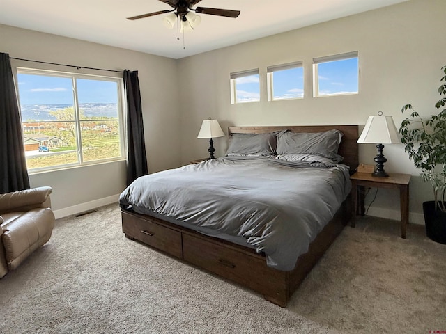 710 SE Pine St, Cedaredge, CO 81413 - carpeted bedroom featuring baseboards and a ceiling fan
