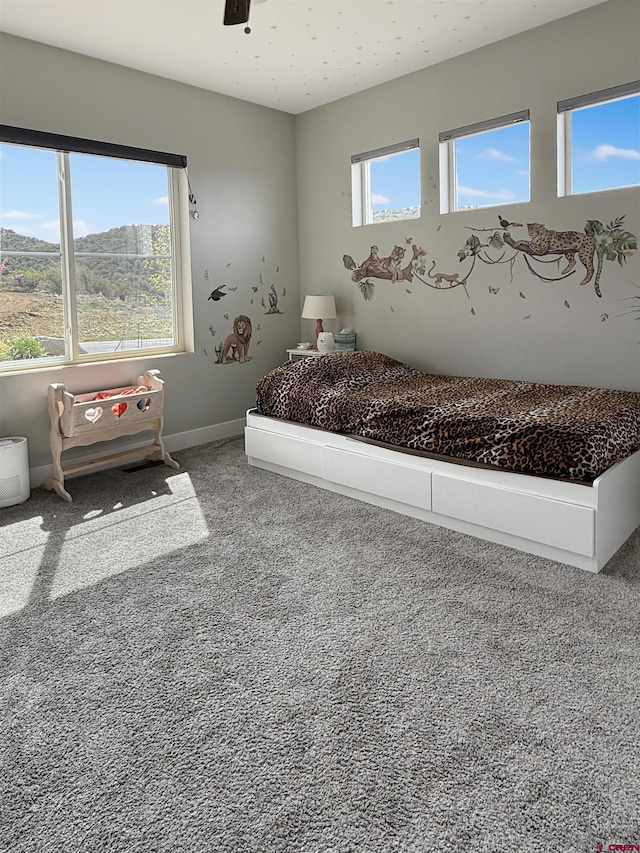 710 SE Pine St, Cedaredge, CO 81413 - bedroom featuring carpet flooring and baseboards