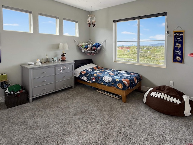 710 SE Pine St, Cedaredge, CO 81413 - bedroom featuring multiple windows and carpet