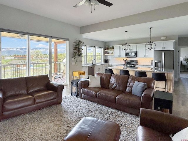 710 SE Pine St, Cedaredge, CO 81413 - living room featuring a ceiling fan and wood finished floors