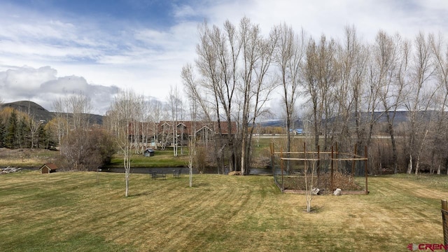 view of grassy yard with a vegetable garden