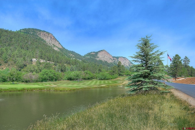 314 N Tamarron Dr Unit 313, Durango, CO 81301 - view of water feature featuring a mountain view