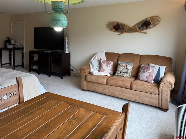 314 N Tamarron Dr Unit 313, Durango, CO 81301 - living room featuring carpet floors