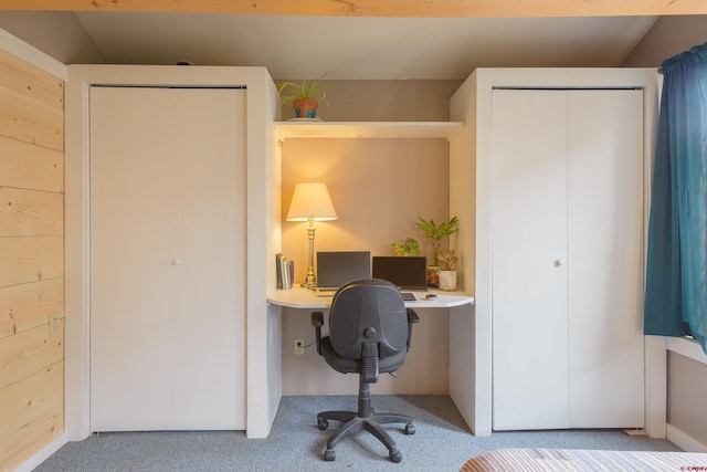 office space featuring carpet flooring