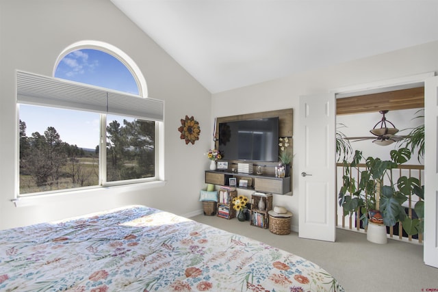 292 E Golf Pl Unit B, Pagosa Springs, CO 81147 - bedroom with carpet and high vaulted ceiling