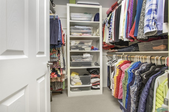 292 E Golf Pl Unit B, Pagosa Springs, CO 81147 - spacious closet featuring carpet floors