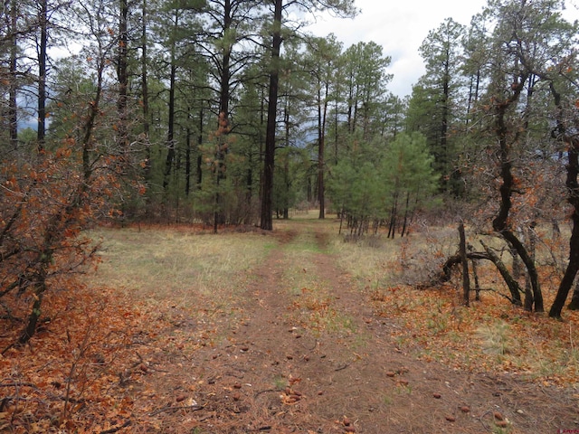 90 Harrys Ct, Pagosa Springs, CO 81147