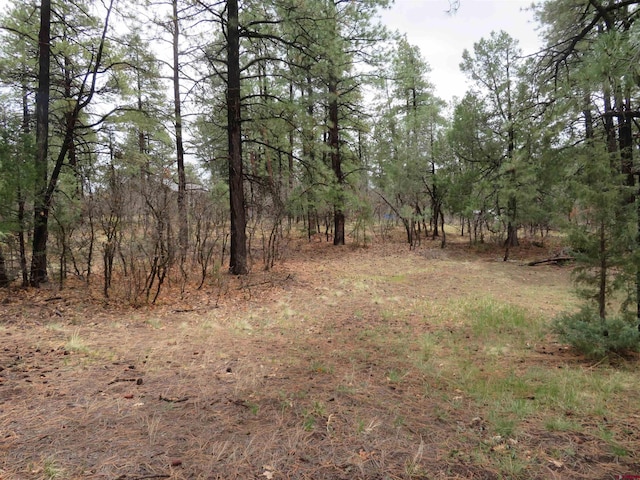 90 Harrys Ct, Pagosa Springs, CO 81147