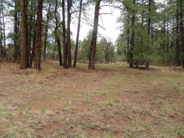 90 Harrys Ct, Pagosa Springs, CO 81147