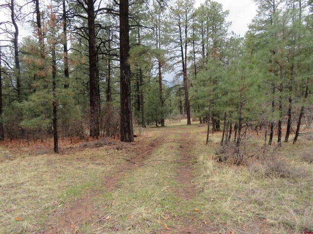 90 Harrys Ct, Pagosa Springs, CO 81147