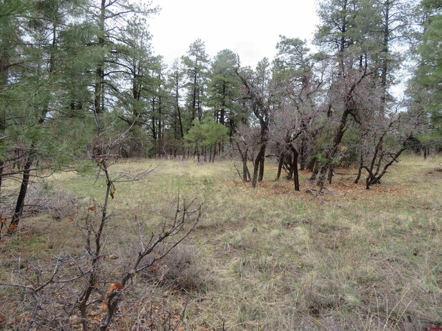 90 Harrys Ct, Pagosa Springs, CO 81147