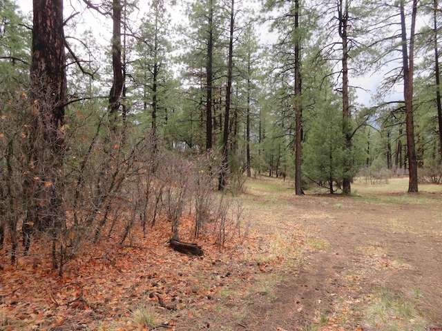90 Harrys Ct, Pagosa Springs, CO 81147