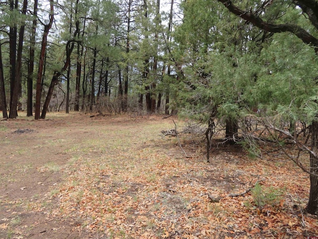 90 Harrys Ct, Pagosa Springs, CO 81147