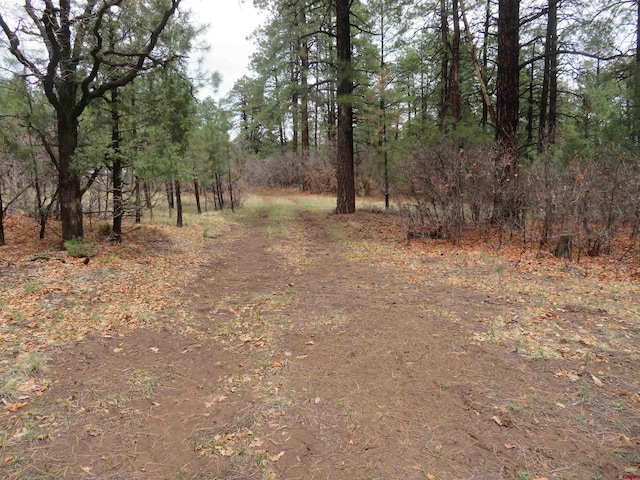 90 Harrys Ct, Pagosa Springs, CO 81147