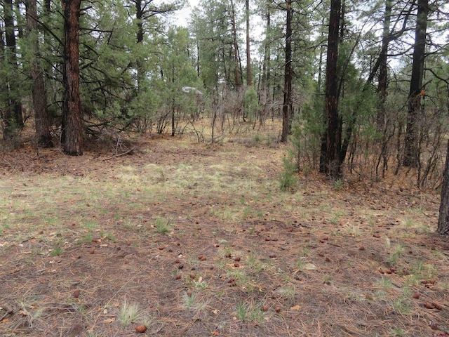 90 Harrys Ct, Pagosa Springs, CO 81147