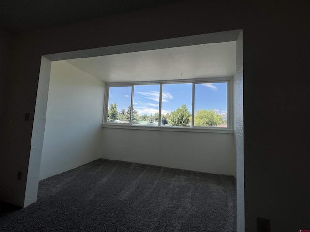 1135 Florida Rd, Durango, CO 81301 - spare room with dark carpet