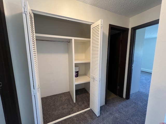 1135 Florida Rd, Durango, CO 81301 - closet with baseboard heating