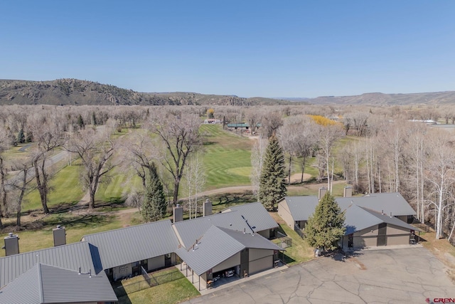 169 Camino Del Rio Unit 8, Gunnison, CO 81230 - bird's eye view of mountains
