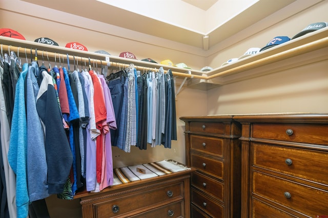 view of spacious closet