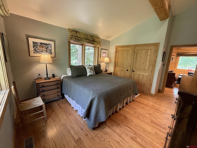 209 Deer Path Ln, Almont, CO 81230 - bedroom featuring vaulted ceiling, light wood-style floors, and a closet