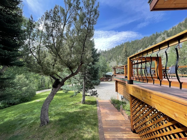 209 Deer Path Ln, Almont, CO 81230 - view of grassy yard with a wooded view and a deck