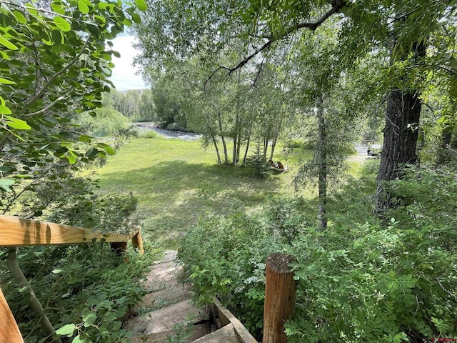 209 Deer Path Ln, Almont, CO 81230 - view of green lawn