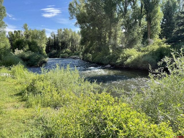 209 Deer Path Ln, Almont, CO 81230 - view of nature