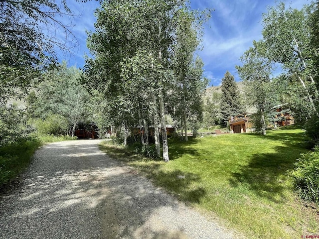 209 Deer Path Ln, Almont, CO 81230 - view of dirt / gravel road