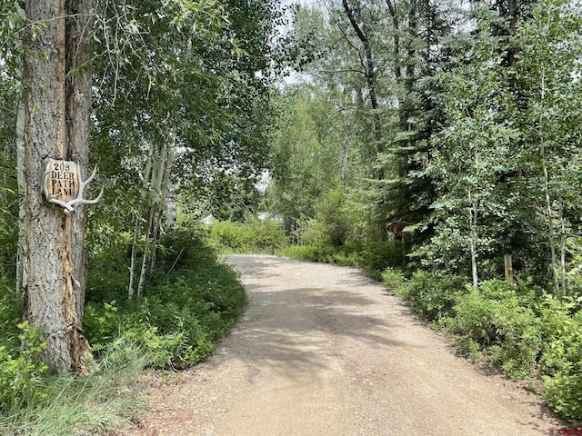 209 Deer Path Ln, Almont, CO 81230 - view of road with a forest view