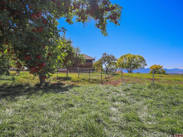 14120 Rd 26, Dolores, CO 81323 - view of yard with fence and a view of rural / pastoral area