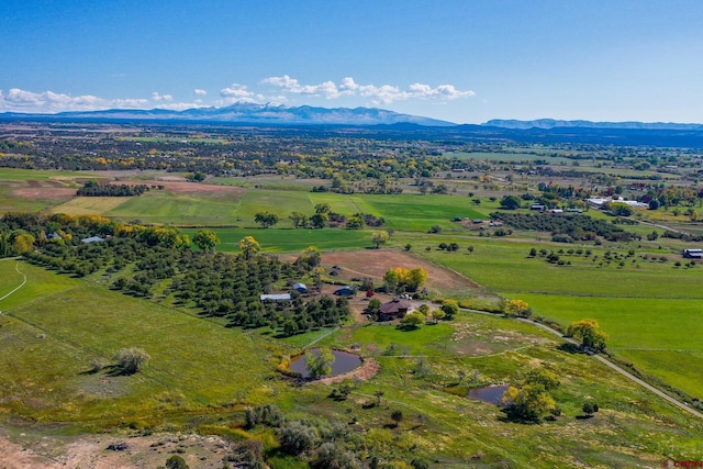 14120 Rd 26, Dolores, CO 81323 - overview of rural landscape featuring mountains