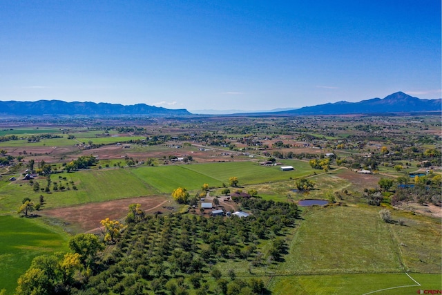 14120 Rd 26, Dolores, CO 81323 - overview of rural landscape with a mountain backdrop
