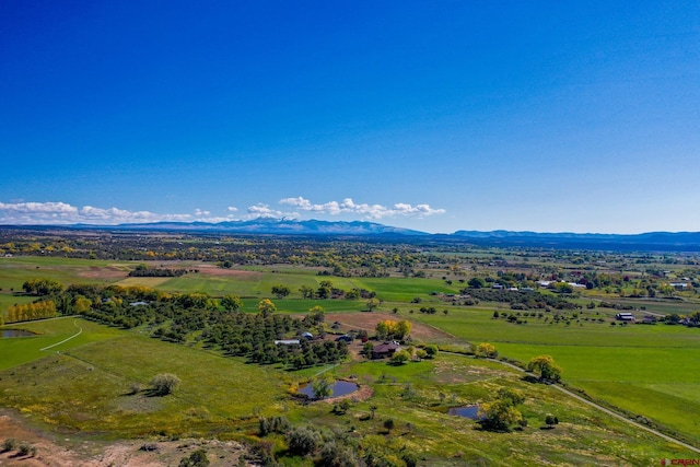 14120 Rd 26, Dolores, CO 81323 - view of rural area featuring a mountain backdrop