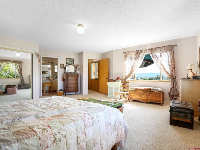 14120 Rd 26, Dolores, CO 81323 - bedroom with carpet, multiple windows, and a textured ceiling
