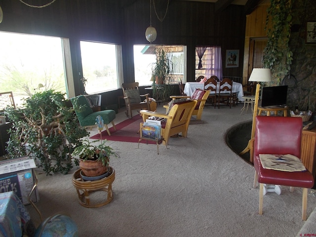 14120 Rd 26, Dolores, CO 81323 - living room featuring carpet floors
