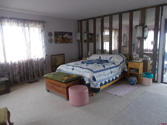 14120 Rd 26, Dolores, CO 81323 - bedroom with multiple windows and carpet floors