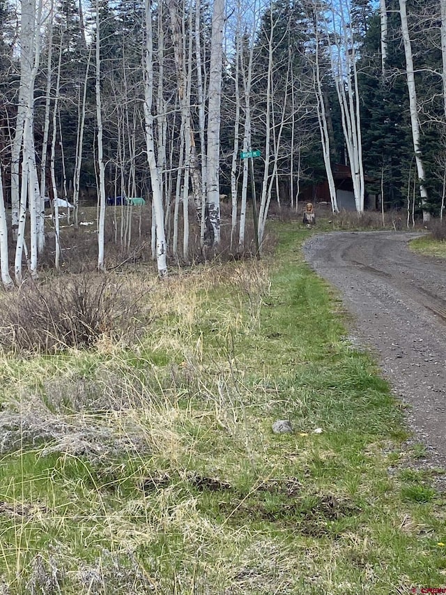 255 Wapiti Pl, Creede, CO 81130