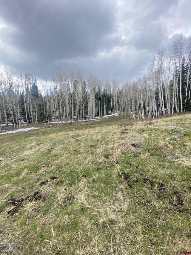 255 Wapiti Pl, Creede, CO 81130