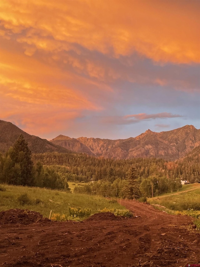 255 Wapiti Pl, Creede, CO 81130