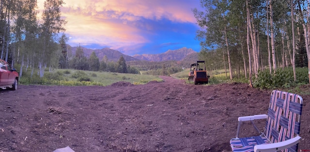 255 Wapiti Pl, Creede, CO 81130