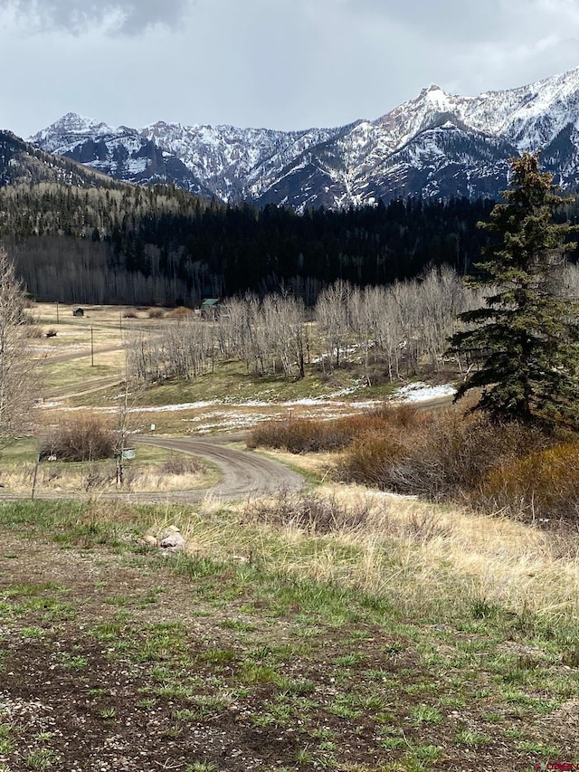 255 Wapiti Pl, Creede, CO 81130