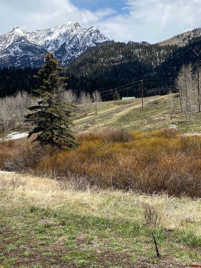 255 Wapiti Pl, Creede, CO 81130