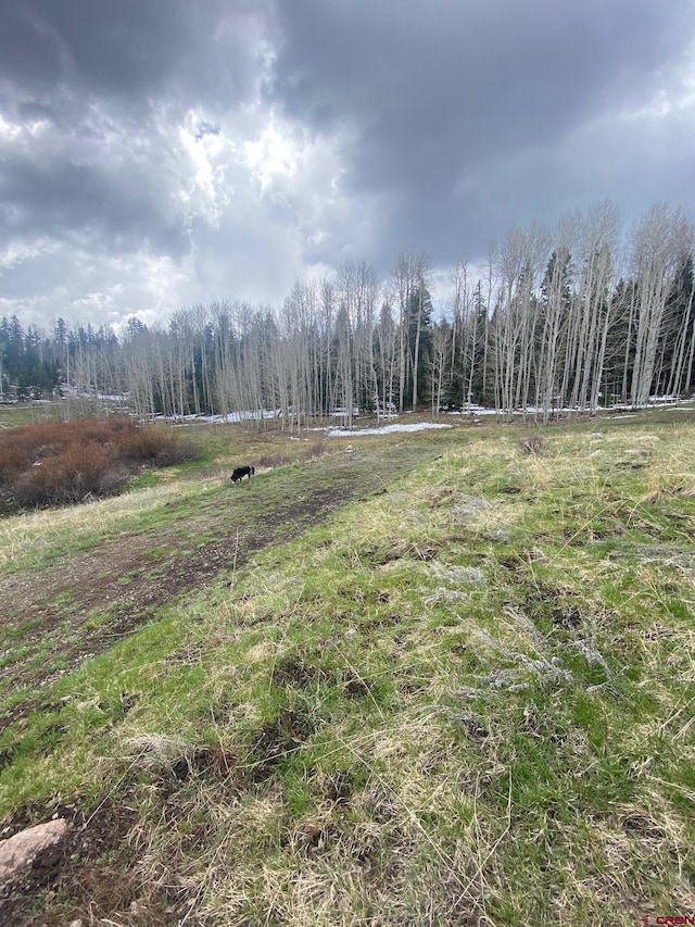 255 Wapiti Pl, Creede, CO 81130