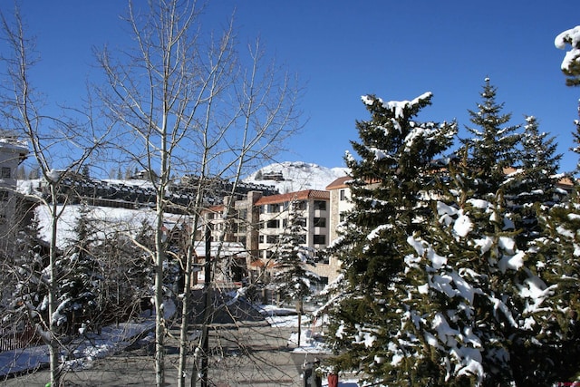 view of snow covered property